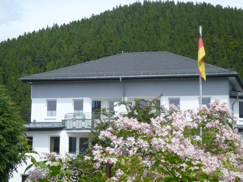 Fewo Penthaus-Blick Willingen  Ngoại thất bức ảnh